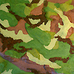 Click to Enlarge