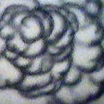 Click to Enlarge