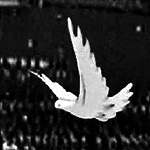 Click to Enlarge