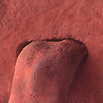 Click to Enlarge
