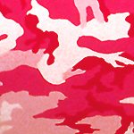 Click to Enlarge