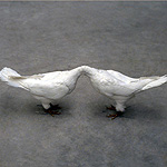 Guillaume Paris - Enhanced Being