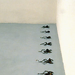 Click to Enlarge