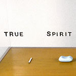 Guillaume Paris - True Spirit